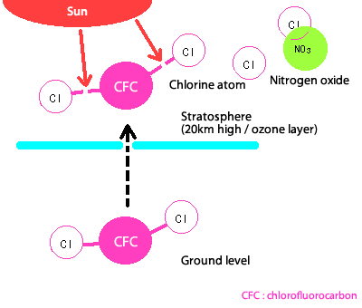 How was the ozone hole formed?