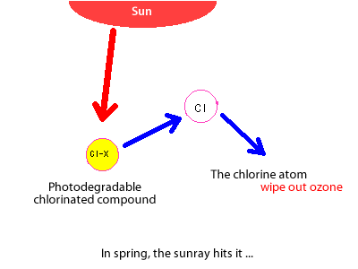 In spring,the sunray hits it ...