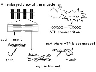 L439-pic1-en.jpg