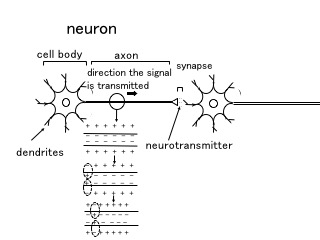 L440-pic1-en.jpg