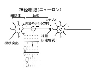 L440-pic1-jp.jpg