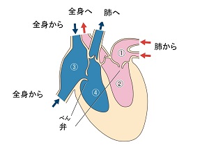 L449-pic2-jp.jpg