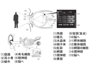 L454-pic1-jp.jpg