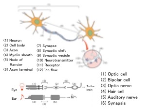 L454-pic2-en.jpg