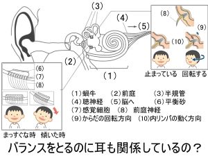 L456-pic1-jp.jpg