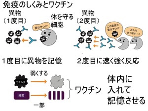 L461-pic1-jp.jpg