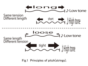 S208-pic1-en.jpg