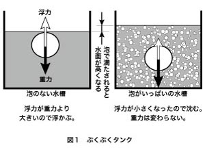 S230-pic1-jp.jpg