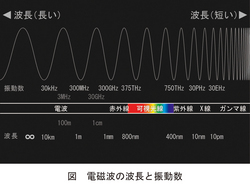 S403-pic1-jp.jpg