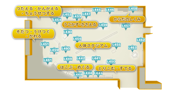 生命館 ４階 人体のふしぎ