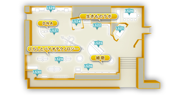 生命館 ５階 生命のひみつ