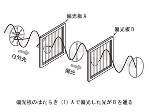 S408-pic1-jp.jpg