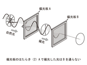 S408-pic2-jp.jpg